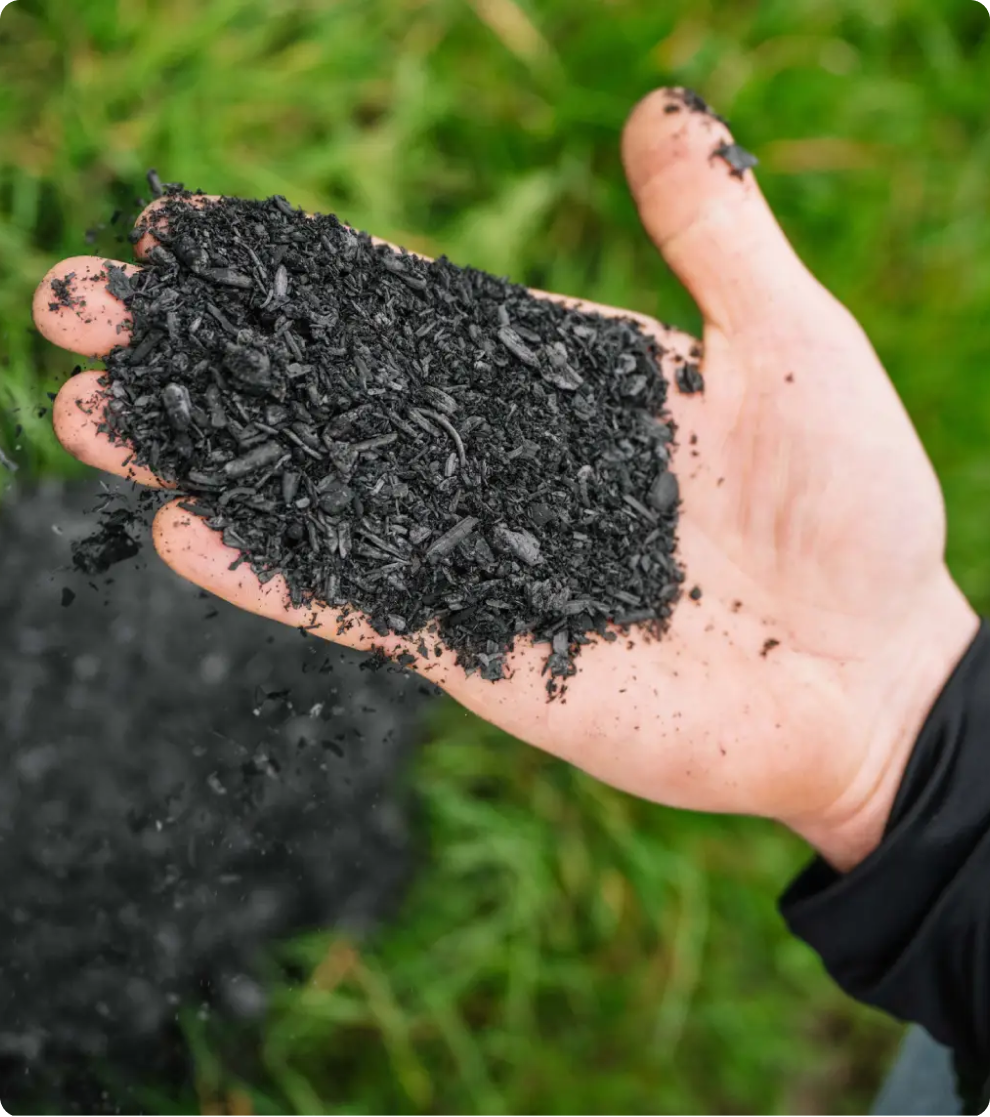 Biochar